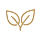 leaves-icon
